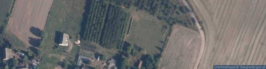 Zdjęcie satelitarne Nieżychówko