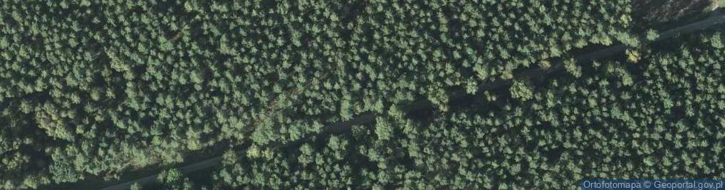Zdjęcie satelitarne Nowa Huta (województwo kujawsko-pomorskie)