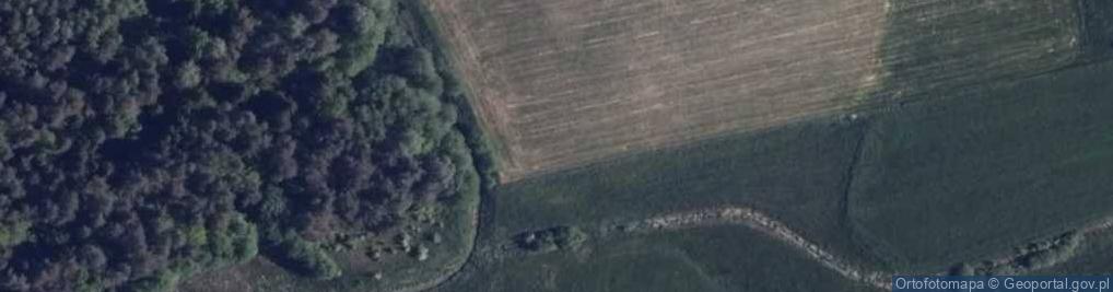 Zdjęcie satelitarne Nowa Kamionka (powiat augustowski)