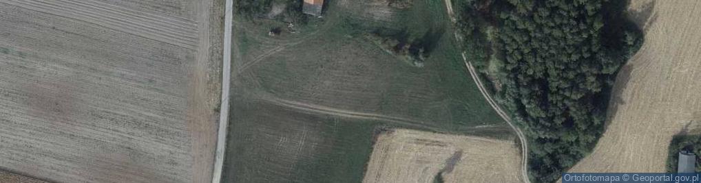 Zdjęcie satelitarne Nowa Wieś (gmina Chrostkowo)