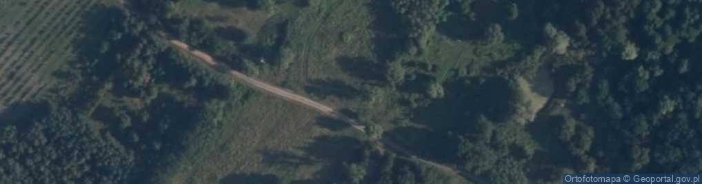 Zdjęcie satelitarne Nowa Wieś (gmina Młodzieszyn)
