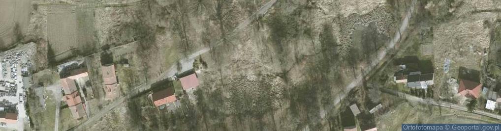 Zdjęcie satelitarne Nowa Wieś Niemczańska