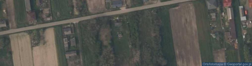 Zdjęcie satelitarne Nowa Wola (gmina Rusiec)