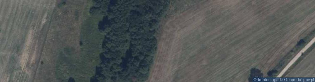 Zdjęcie satelitarne Nowe Skórowo