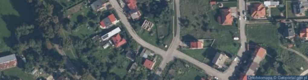 Zdjęcie satelitarne Nowiny (gmina Dzierzgoń)