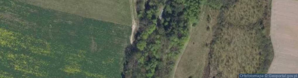 Zdjęcie satelitarne Nowiny (powiat elbląski)