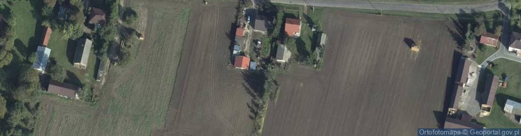 Zdjęcie satelitarne Nowosiółki (powiat hrubieszowski)