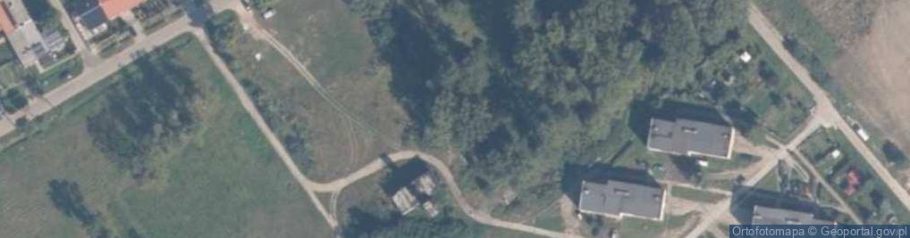 Zdjęcie satelitarne Nowotna