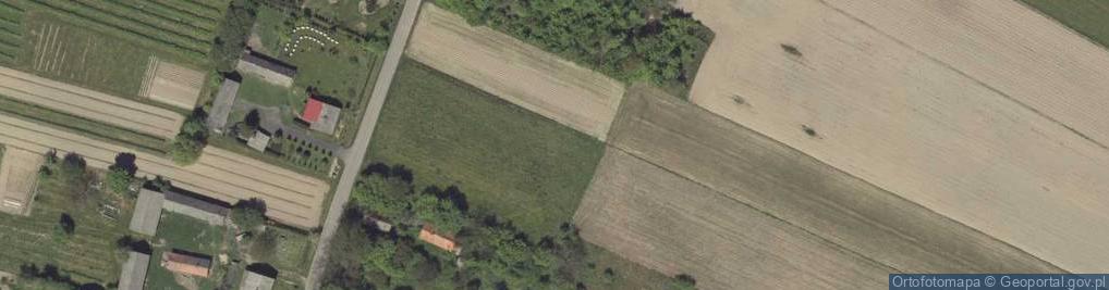 Zdjęcie satelitarne Obliźniak