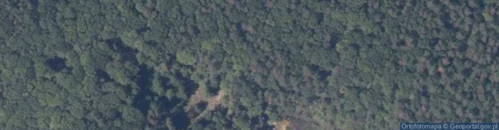 Zdjęcie satelitarne Obszar ochrony ścisłej im. dr. Bogdana Dyakowskiego