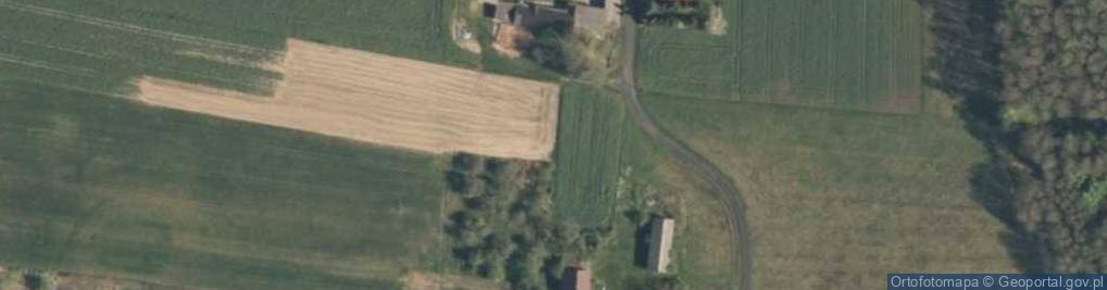 Zdjęcie satelitarne Ogrodzim