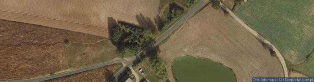 Zdjęcie satelitarne Okonin (powiat rypiński)