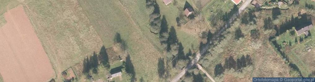 Zdjęcie satelitarne Okrzeszyn (województwo dolnośląskie)