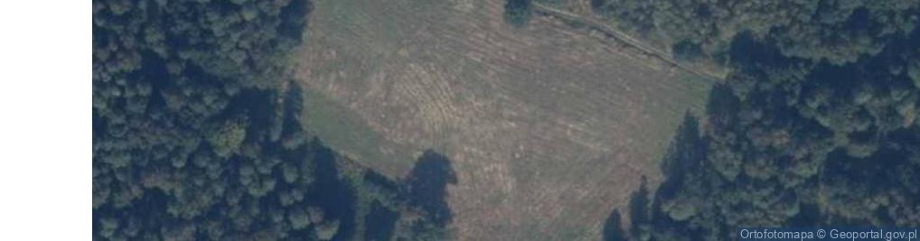 Zdjęcie satelitarne Orzechowo (powiat stargardzki)