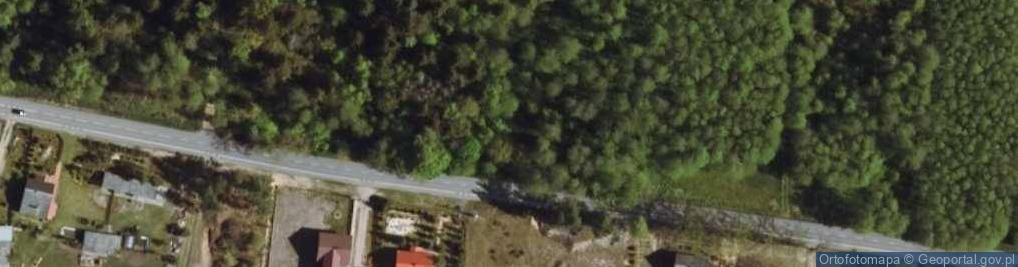 Zdjęcie satelitarne Orzeł (województwo mazowieckie)