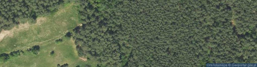 Zdjęcie satelitarne Osowiec (województwo lubuskie)