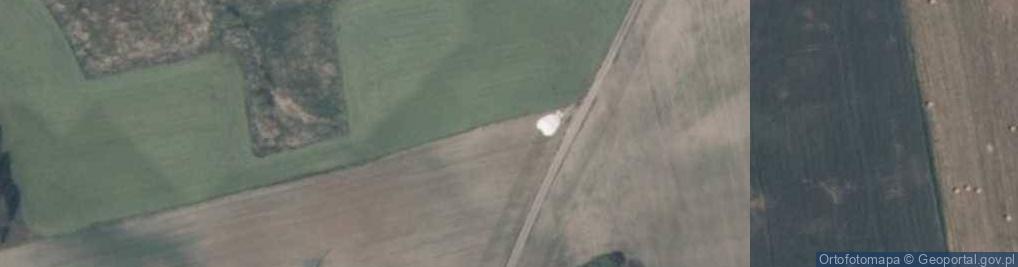 Zdjęcie satelitarne Otręba (województwo warmińsko-mazurskie)