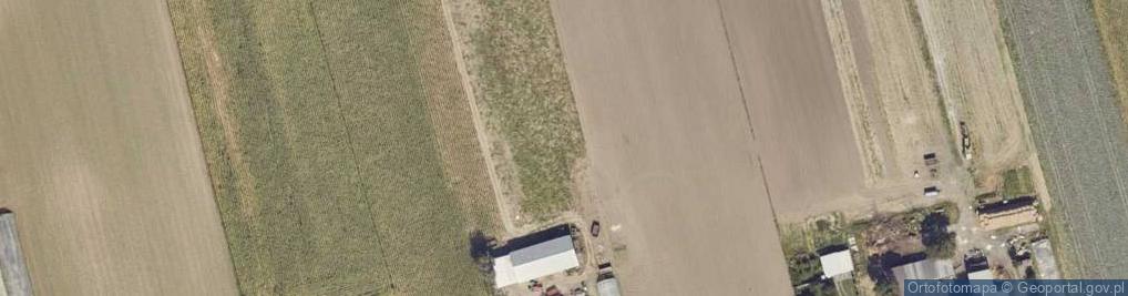 Zdjęcie satelitarne Pamięcin (województwo wielkopolskie)