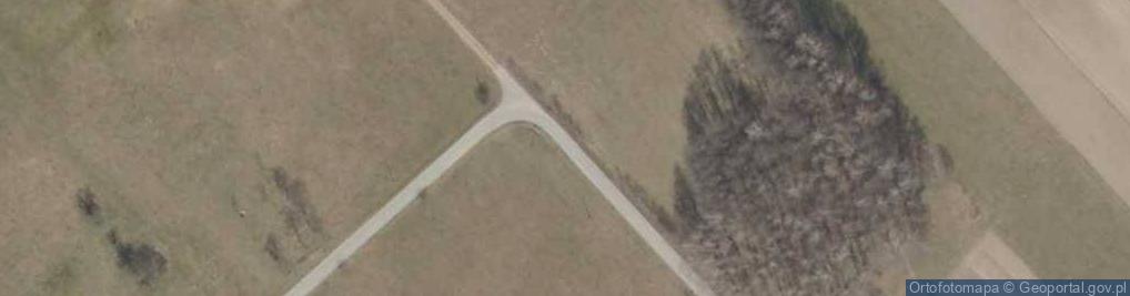 Zdjęcie satelitarne Pasieka (województwo podlaskie)