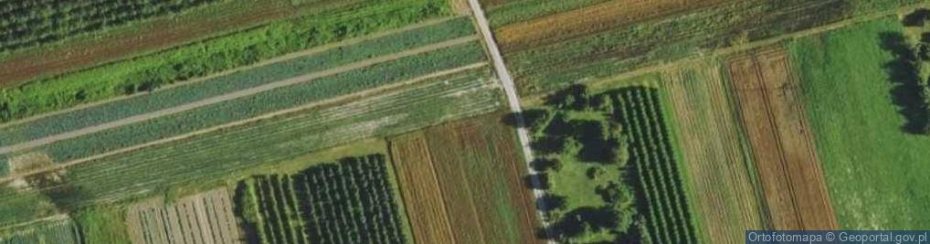 Zdjęcie satelitarne Pastewnik (gmina Sobienie-Jeziory)