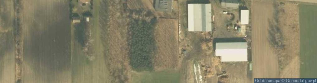 Zdjęcie satelitarne Pełczyska (województwo łódzkie)