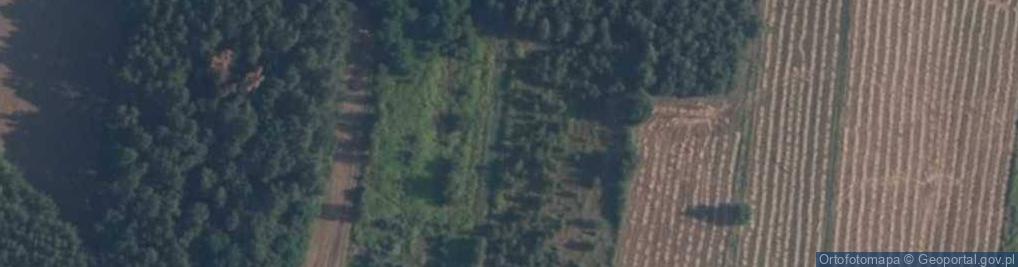 Zdjęcie satelitarne Pieczyska Łowickie