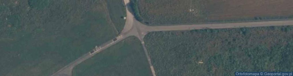 Zdjęcie satelitarne Pierwoszyńskie Pustki
