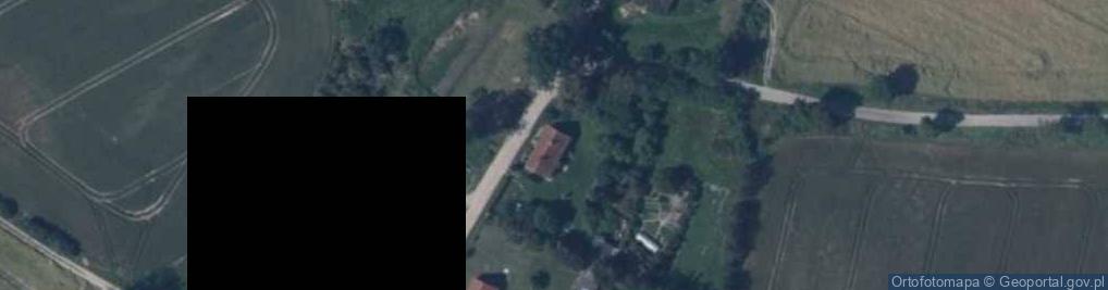 Zdjęcie satelitarne Piniewo