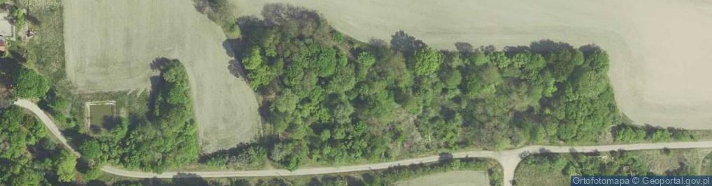 Zdjęcie satelitarne Pniewo (gmina Bledzew)