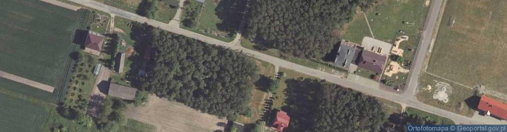 Zdjęcie satelitarne Pniówek (województwo lubelskie)