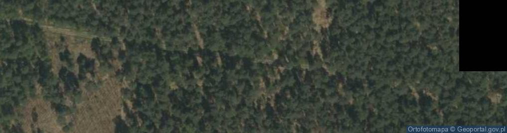 Zdjęcie satelitarne Pniowiec