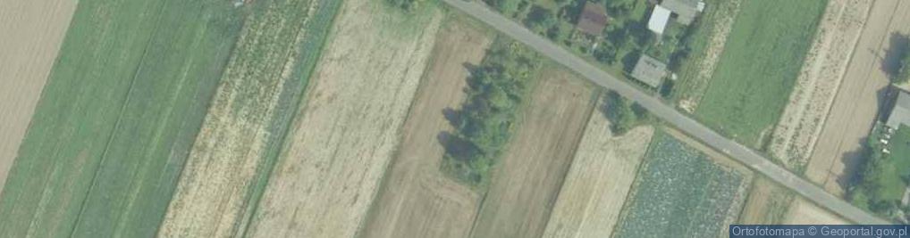 Zdjęcie satelitarne Podlesice (województwo małopolskie)