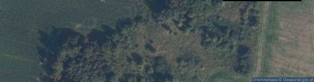 Zdjęcie satelitarne Pogorzele (powiat sztumski)