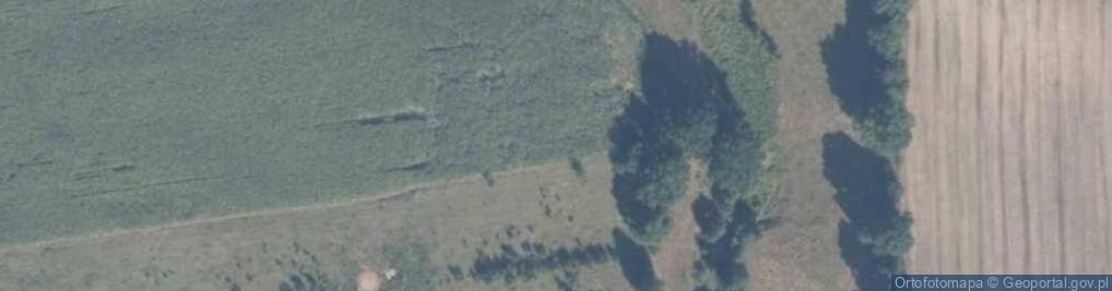 Zdjęcie satelitarne Polichno (województwo pomorskie)