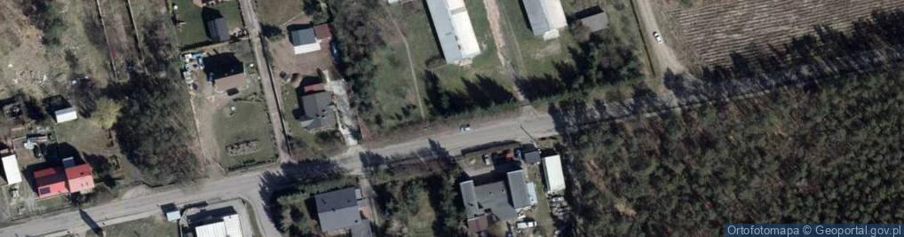 Zdjęcie satelitarne Prądocin (województwo lubuskie)