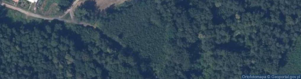 Zdjęcie satelitarne Przylesie (województwo warmińsko-mazurskie)