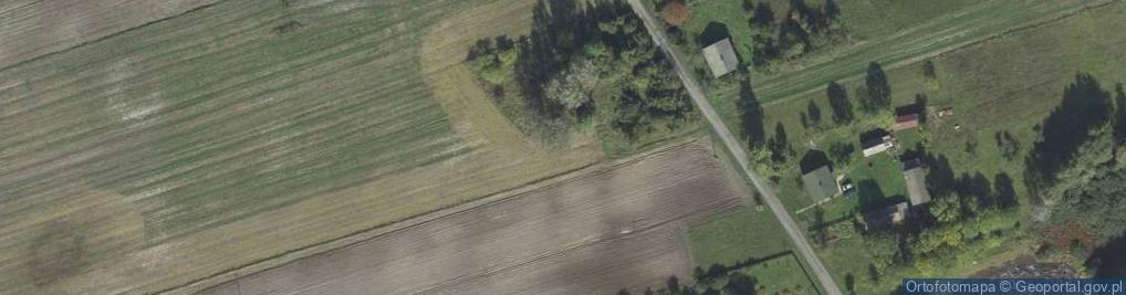 Zdjęcie satelitarne Przymiarki (gmina Urszulin)