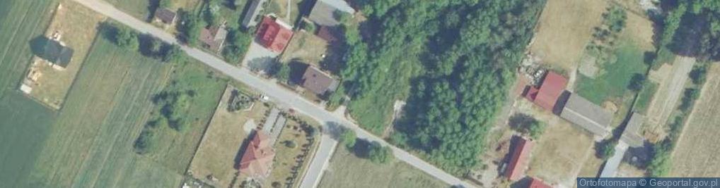 Zdjęcie satelitarne Przysów