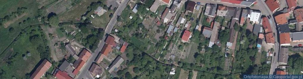 Zdjęcie satelitarne Pszczew