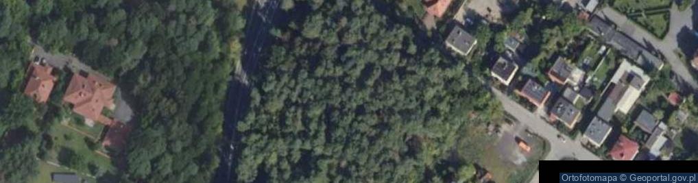 Zdjęcie satelitarne Puszczykowo