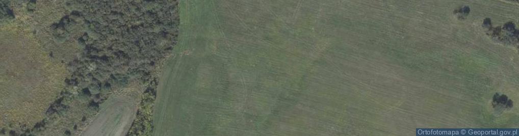 Zdjęcie satelitarne Puszki