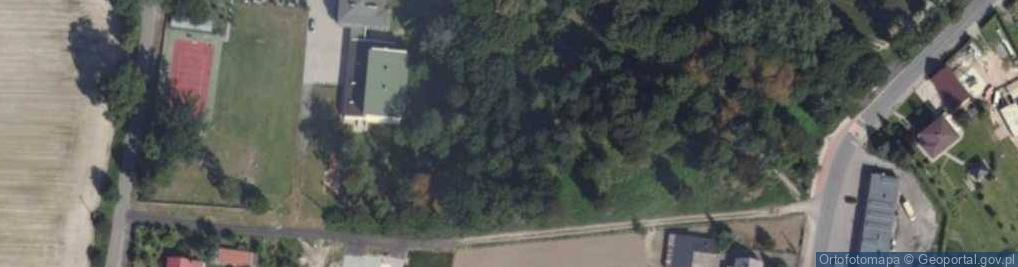 Zdjęcie satelitarne Radliczyce