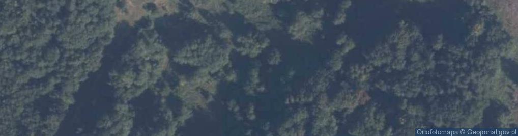 Zdjęcie satelitarne Radzikowo (województwo pomorskie)