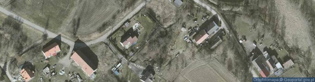Zdjęcie satelitarne Rakowice (powiat ząbkowicki)