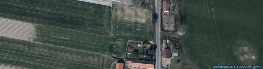 Zdjęcie satelitarne Rejów (województwo lubuskie)