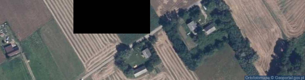 Zdjęcie satelitarne Rembielin (powiat płocki)