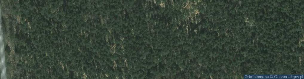 Zdjęcie satelitarne Rogatka (województwo lubelskie)