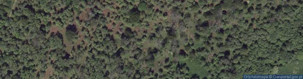 Zdjęcie satelitarne Rosochate (województwo podkarpackie)