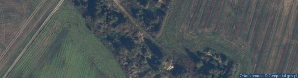 Zdjęcie satelitarne Rozdoły (województwo pomorskie)