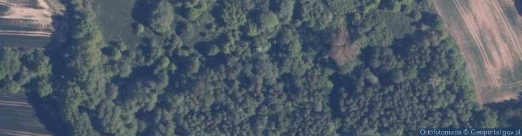 Zdjęcie satelitarne Różkowo